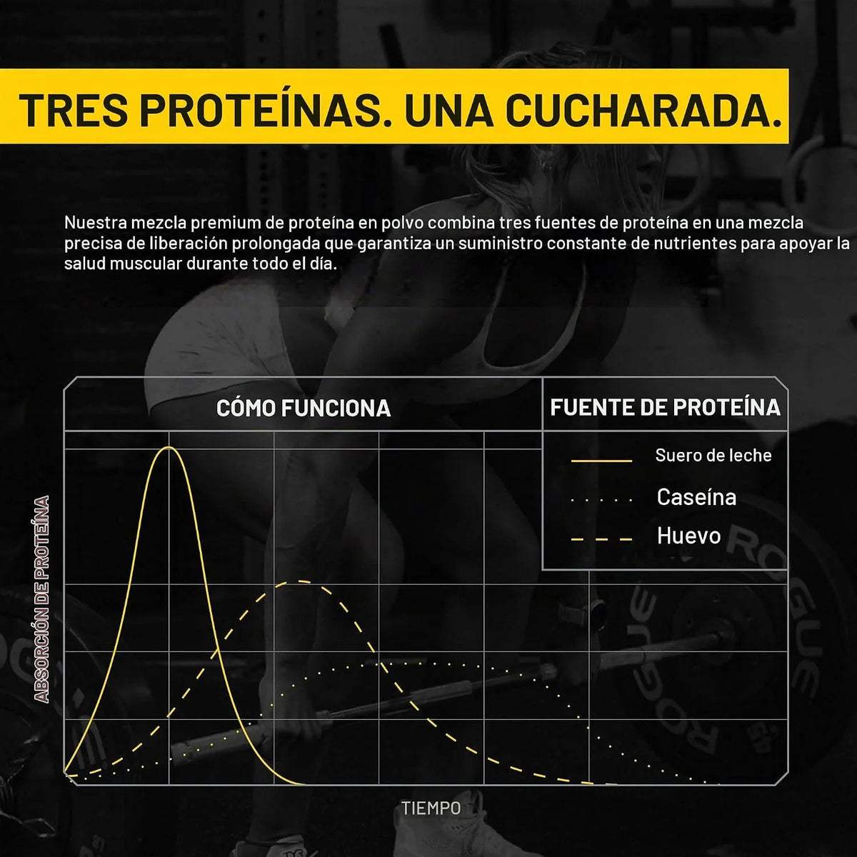 Jocko Fuel Mölk Protein | Proteína en Polvo Grass Fed | 28 Servicios | Sabor Vainilla | 22 g de Proteína por Porción