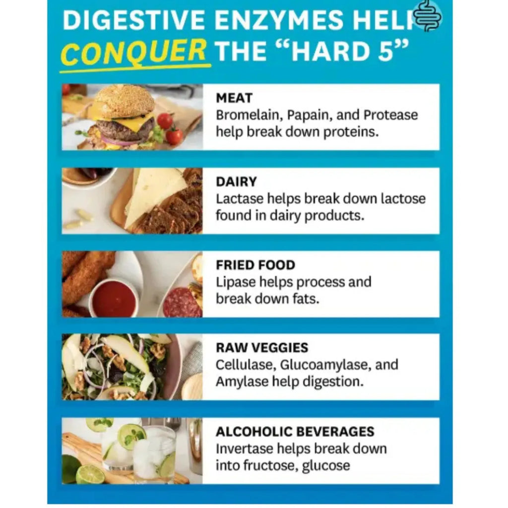 Zenwise Probióticos y prebióticos digestivos 100 caps sfn