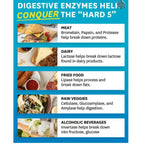 Zenwise Probióticos y prebióticos digestivos 100 caps sfn