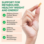 Zenwise Extracto de grano de café y té verde 60 caps Sfn