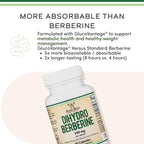 Double Wood Dihidroberberina (GlucoVantage) 100 mg 60 Cápsulas