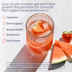 Trace Minerals Creatina+electrolitos 240 G Rendimiento Sandia Tropical – Hidratación