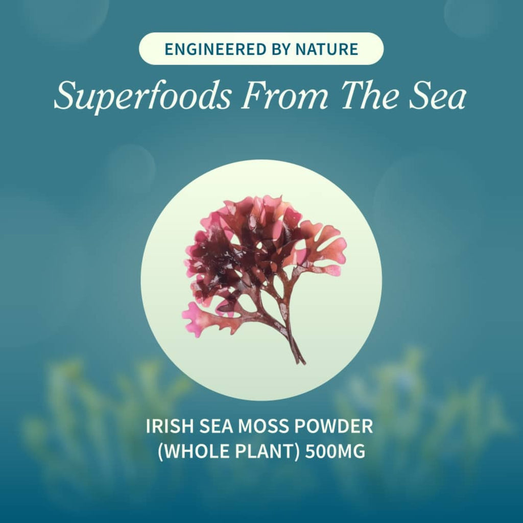 Snap Supplements Irish Sea Moss 60 Tabletas Masticables Manzana Verde