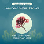 Snap Supplements Irish Sea Moss 60 Tabletas Masticables Manzana Verde