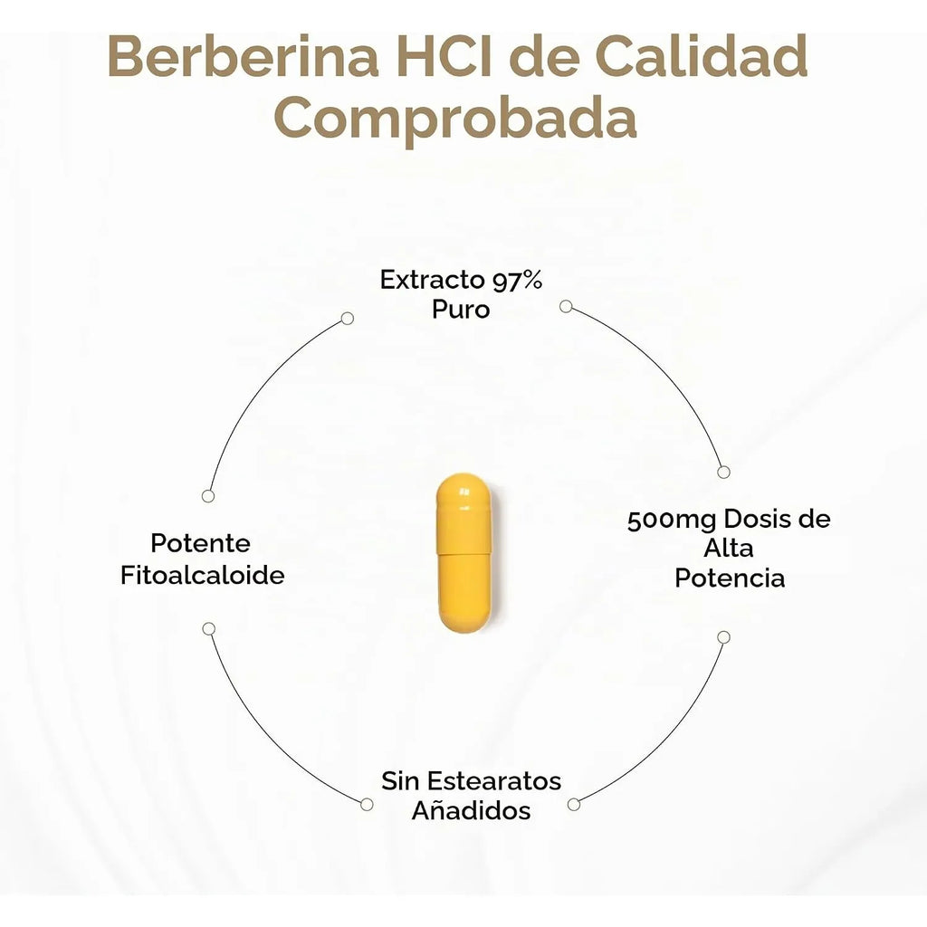 Sandhus Curcumin C3 Complex Con Biomperina 60 Capsulas