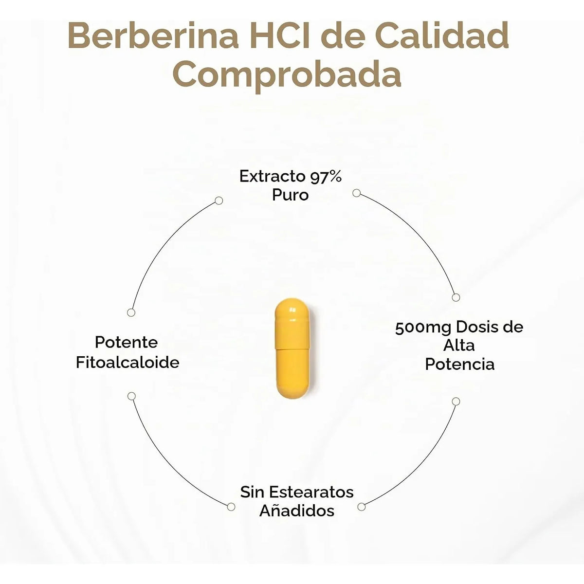 Sandhus Curcumin C3 Complex Con Biomperina 60 Capsulas