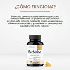 Sandhus Extracto De Berberina 60 Capsulas de 500mg