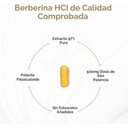 Sandhus Extracto De Berberina 60 Capsulas de 500mg