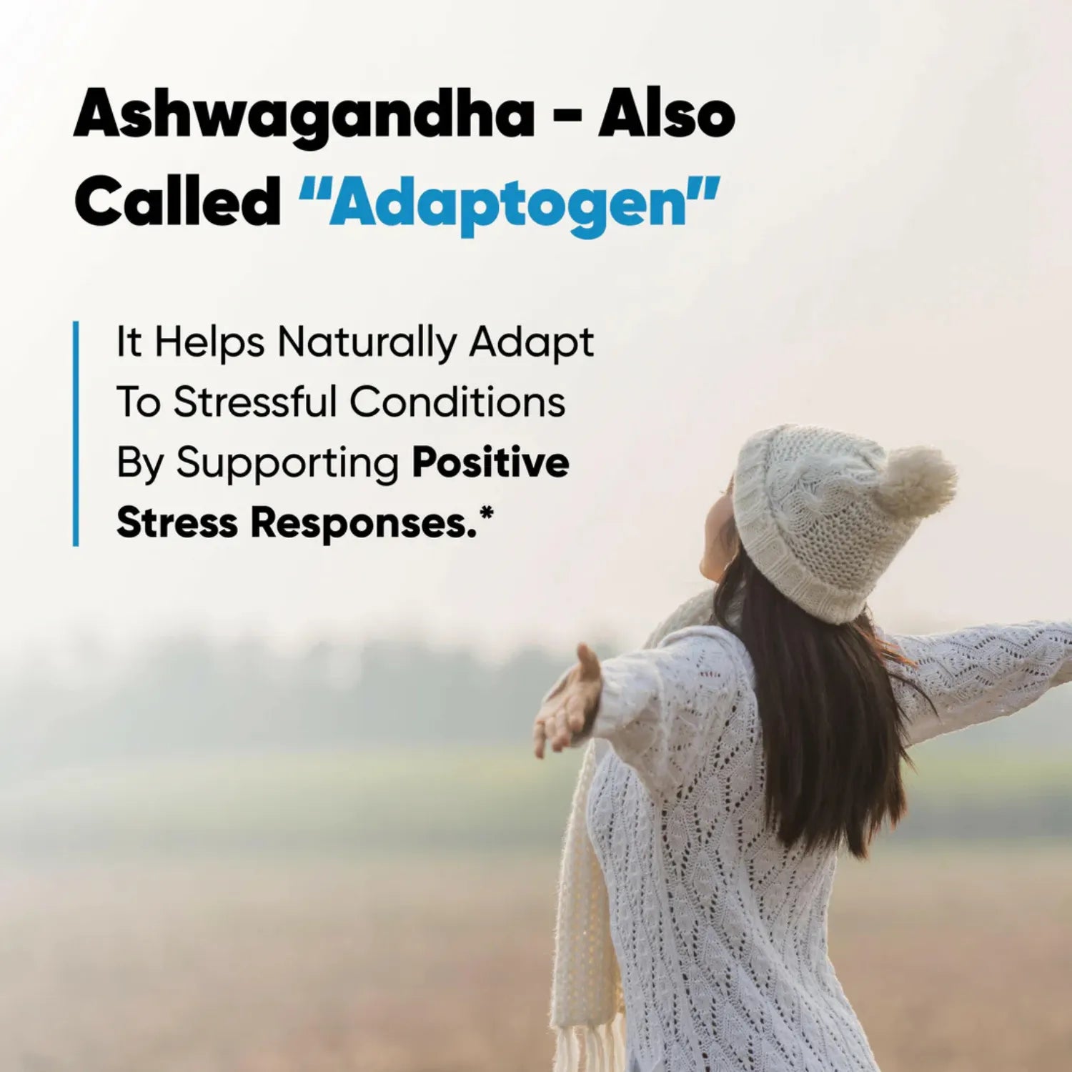 Sandhus Ashwagandha 8800mg Salud Cerebral 60 Caps Sfn