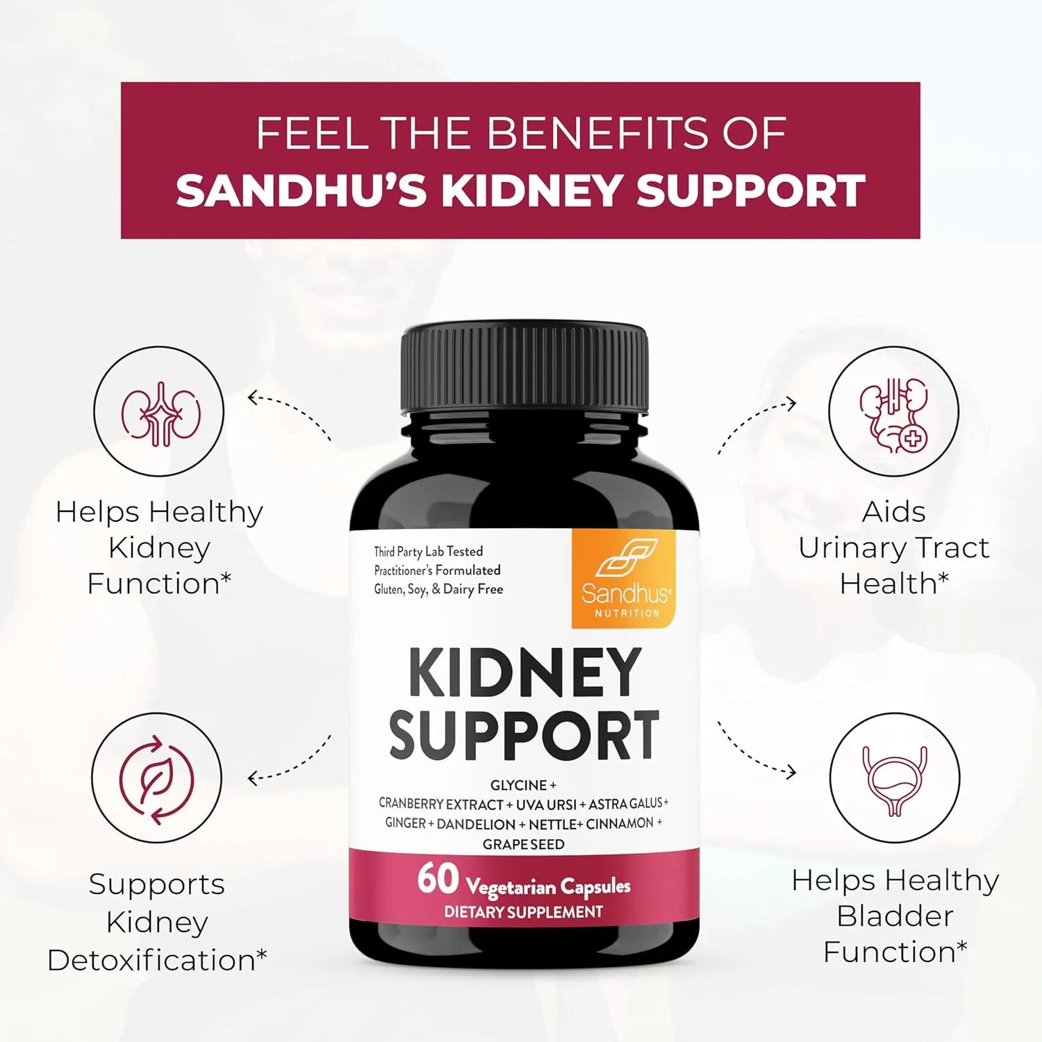 Sandhus Apoyo renal con glicina y extracto de arándano - Cápsulas 60 unidades sfn