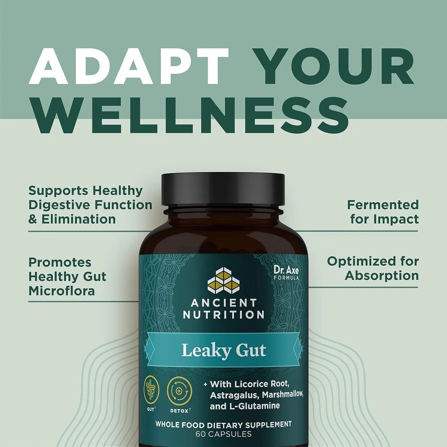 Ancient Nutrition  Cápsulas para la Salud Intestinal, 60 unidades