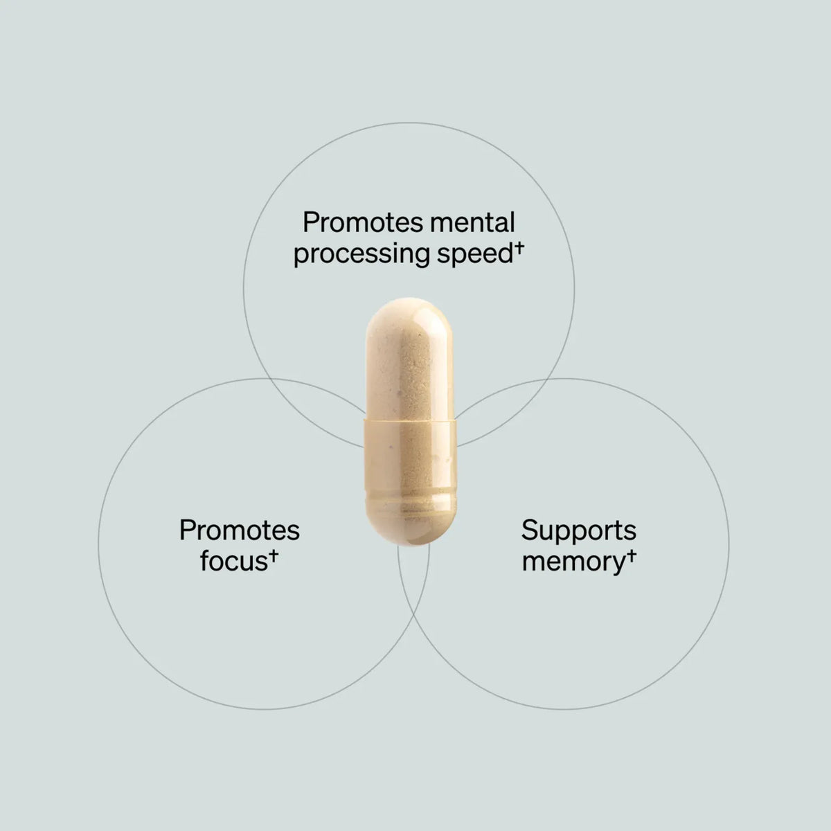 ONNIT Alpha brain L-tirosina memoria y enfoque 30 caps sfn