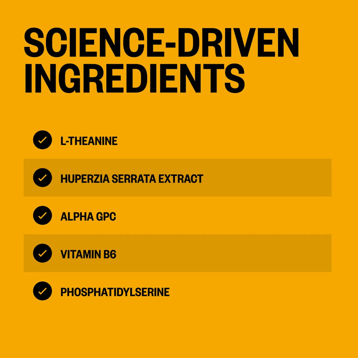 ONNIT Alpha brain L-tirosina memoria y enfoque 30 caps sfn