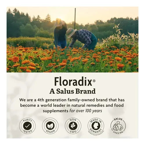 GAIA HERBS | Floradix Iron + Herbs con Hierro y Vitaminas B | 80 Tabletas | Apoyo a la Energía y Formación de Glóbulos Rojos