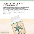 Double Wood Fadogia Agrestis 600 mg 180 Cápsulas