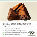 Double Wood Hongo Chaga Orgánico 1000 mg 120 Cápsulas