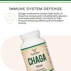 Double Wood Hongo Chaga Orgánico 1000 mg 120 Cápsulas