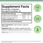 Double Wood Glutatión Liposomal 500 mg 60 Cápsulas