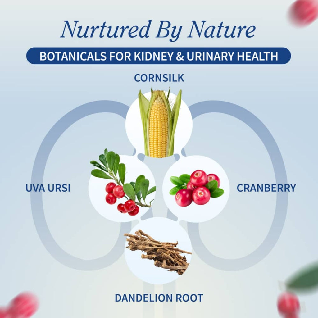 Snap Supplements Kidney Health 60 Cápsulas Vegetales
