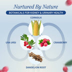 Snap Supplements Kidney Health 60 Cápsulas Vegetales