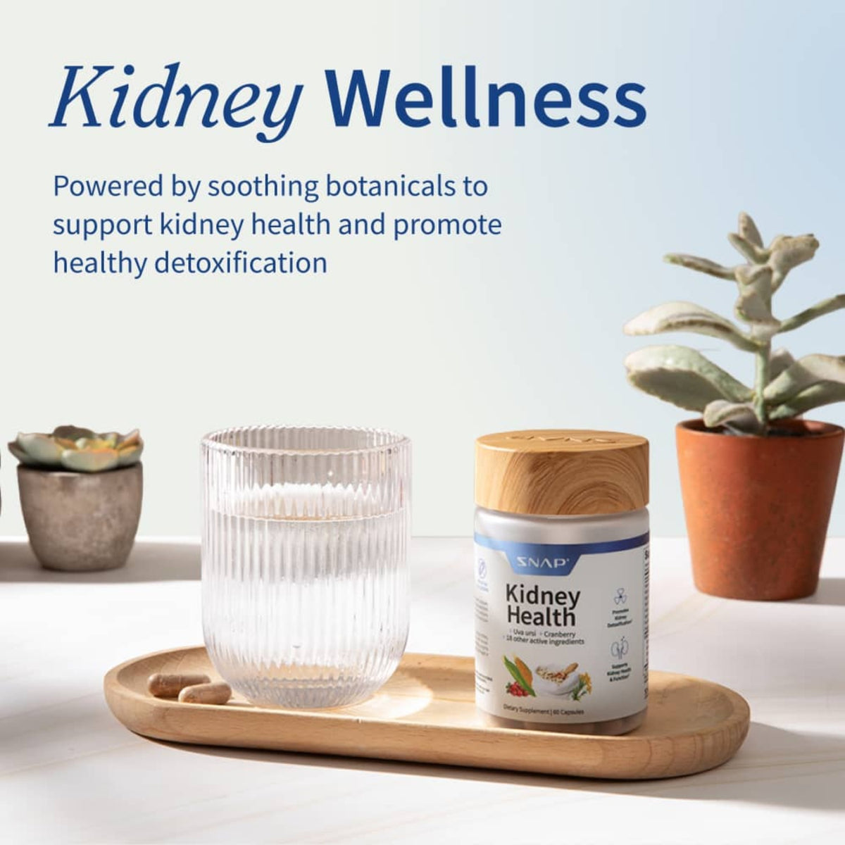 Snap Supplements Kidney Health 60 Cápsulas Vegetales