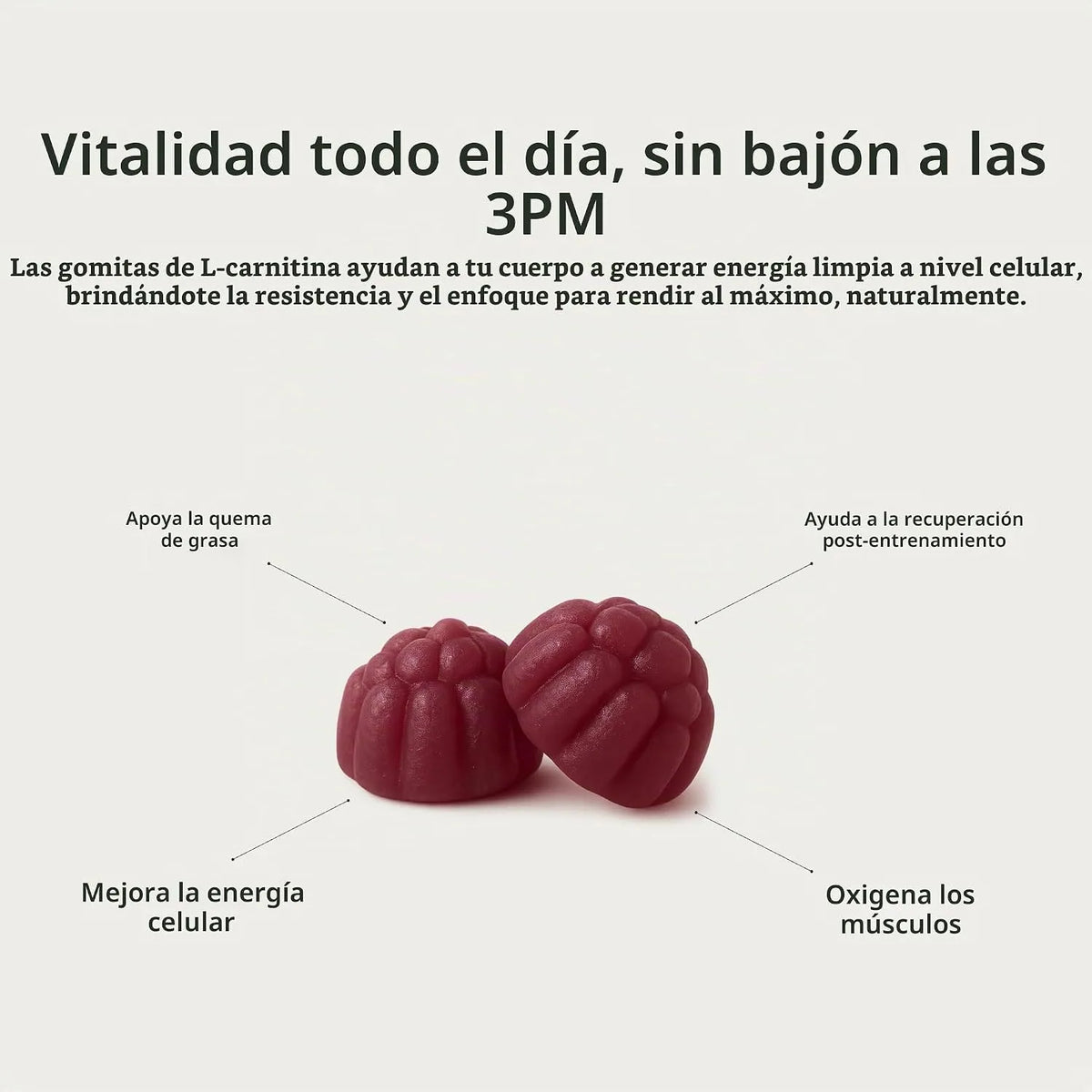 Snap supplements Tartrato de L-carnitina, 60 gomitas sin azúcar