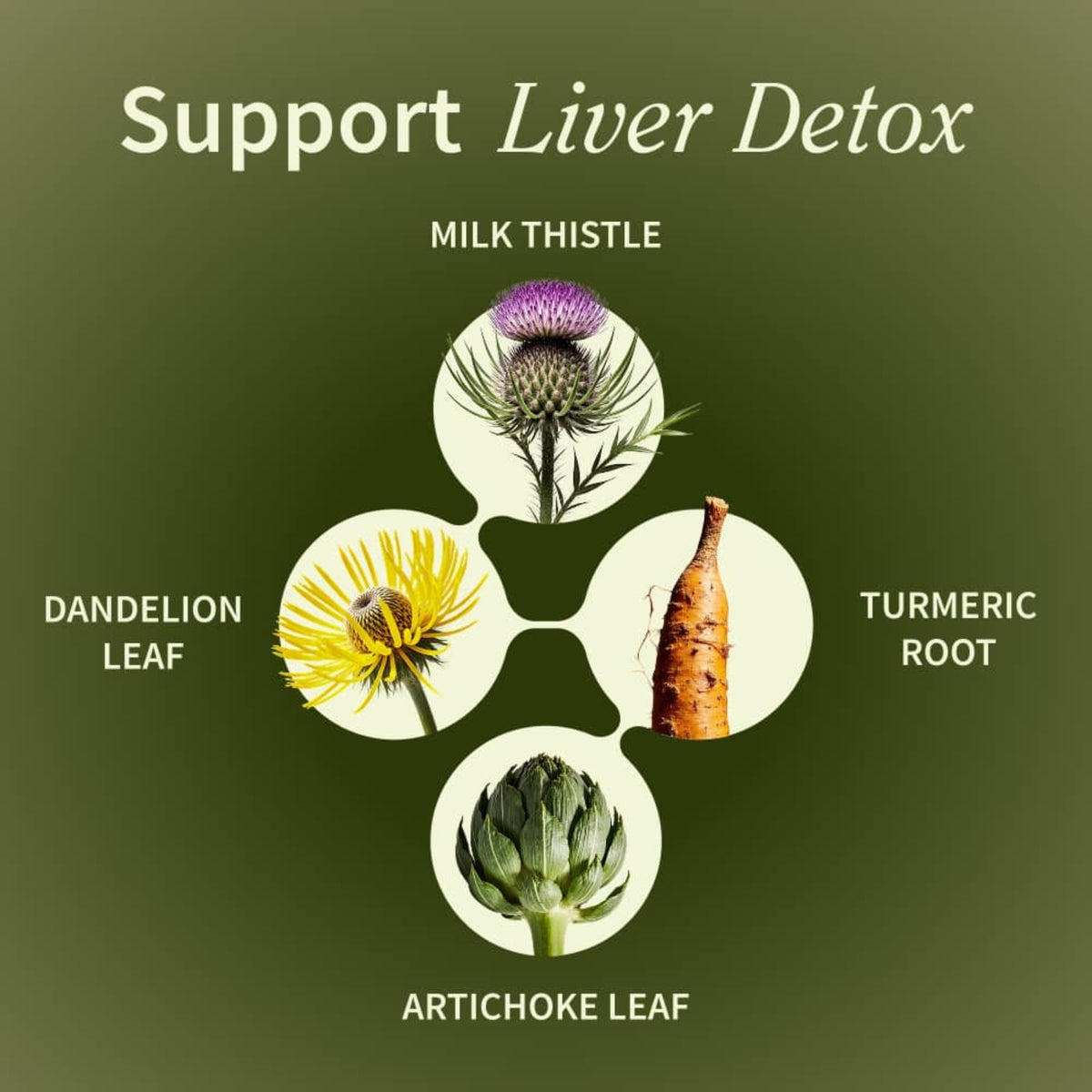Snap Supplements Liver Health & Detox 60 Cápsulas Vegetales
