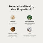 Snap Supplements Multivitamínico Diario para Mujer 60 Cápsulas Vegetales
