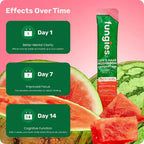 Fungies Lions Mane Mushroom Hydration Electrolyte Drink Mix 6 stick sandia