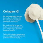 Vital proteins Collagen peptides Péptidos De Colágeno Sin Sabor 28 Servicios 567 Gramos