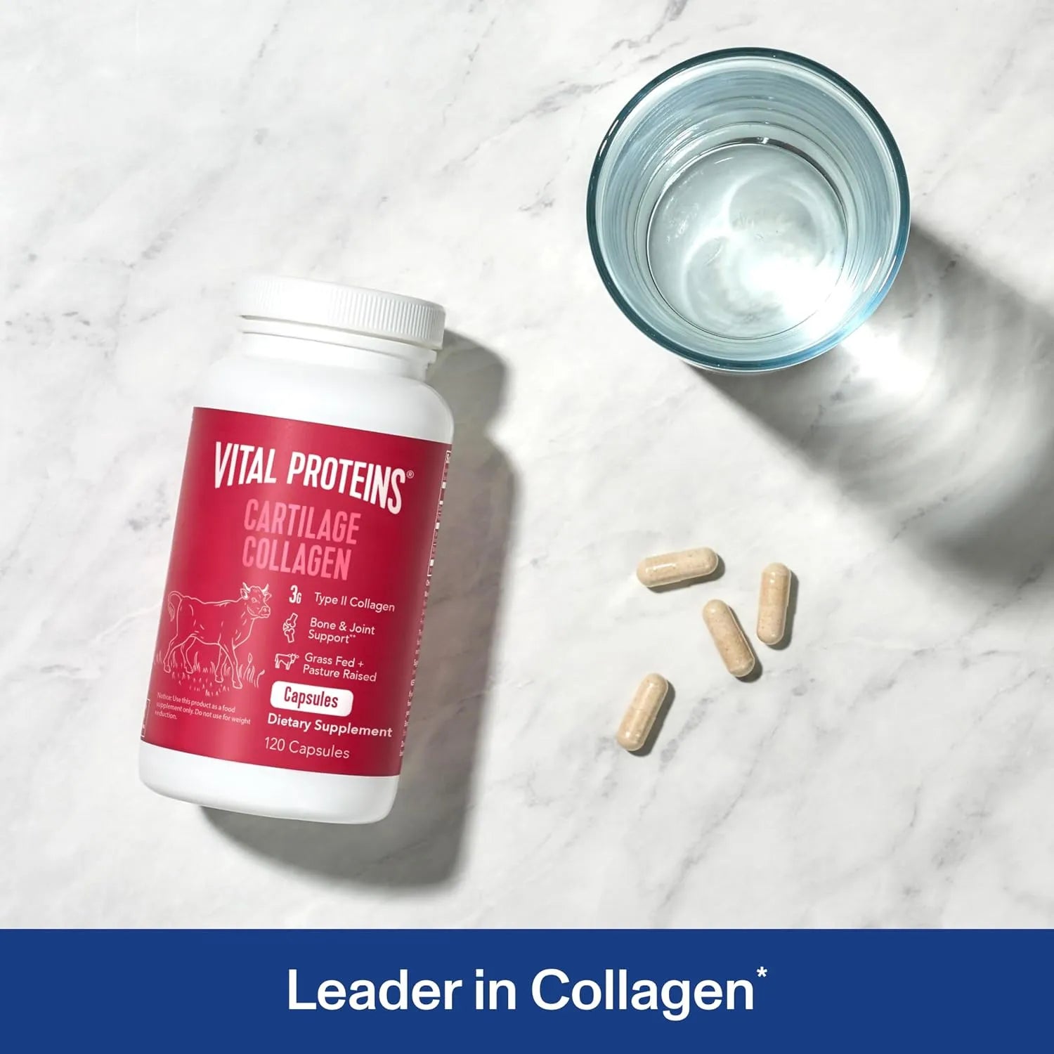 Vital Proteins Cartilage Collagen | Colágeno Tipo II | 30 Servicios 120 Cápsulas