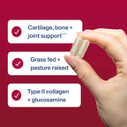 Vital Proteins Cartilage Collagen | Colágeno Tipo II | 30 Servicios 120 Cápsulas