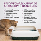Fidobiotics Suplemento urinario para gatos 30serv Sfn
