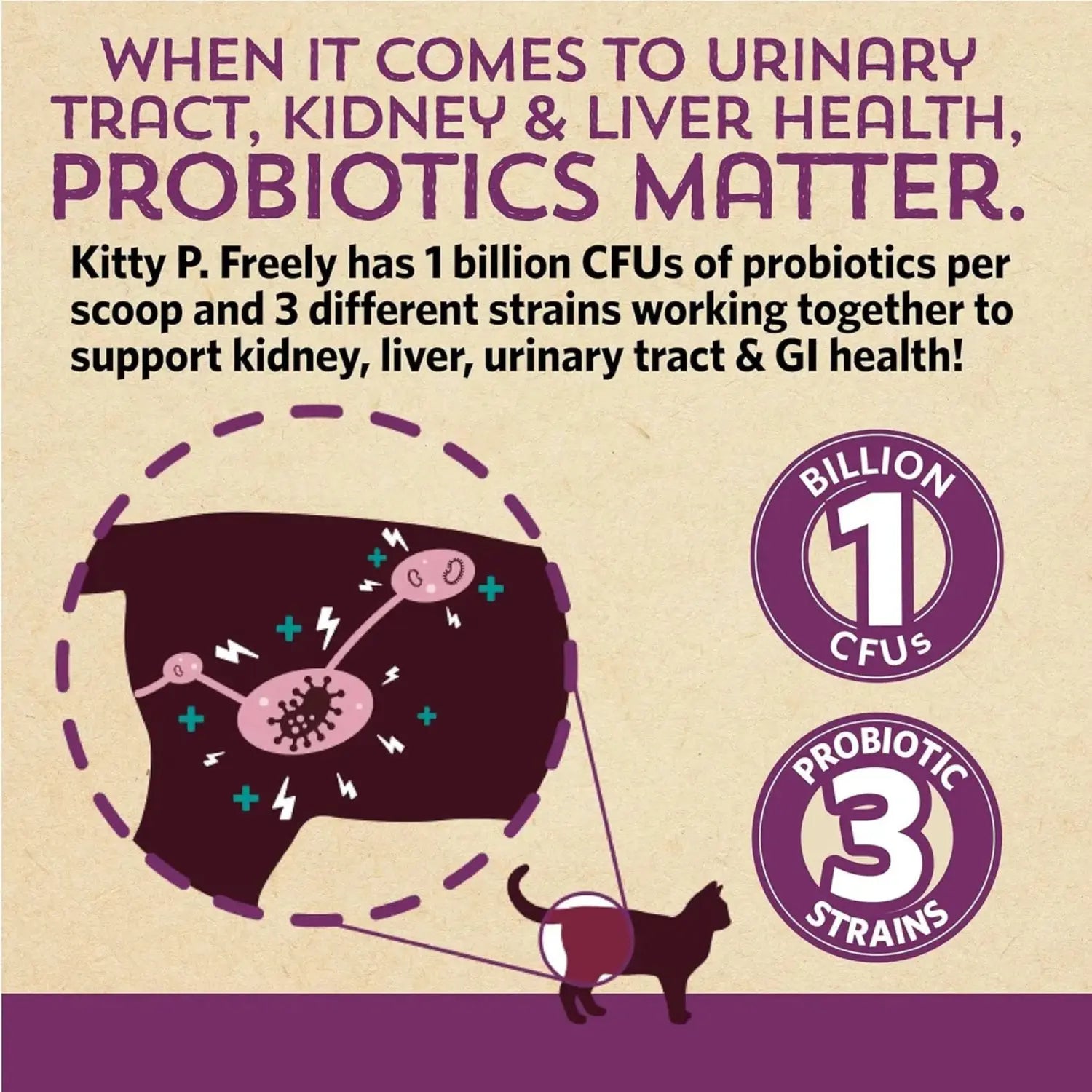 Fidobiotics Suplemento urinario para gatos 30serv Sfn