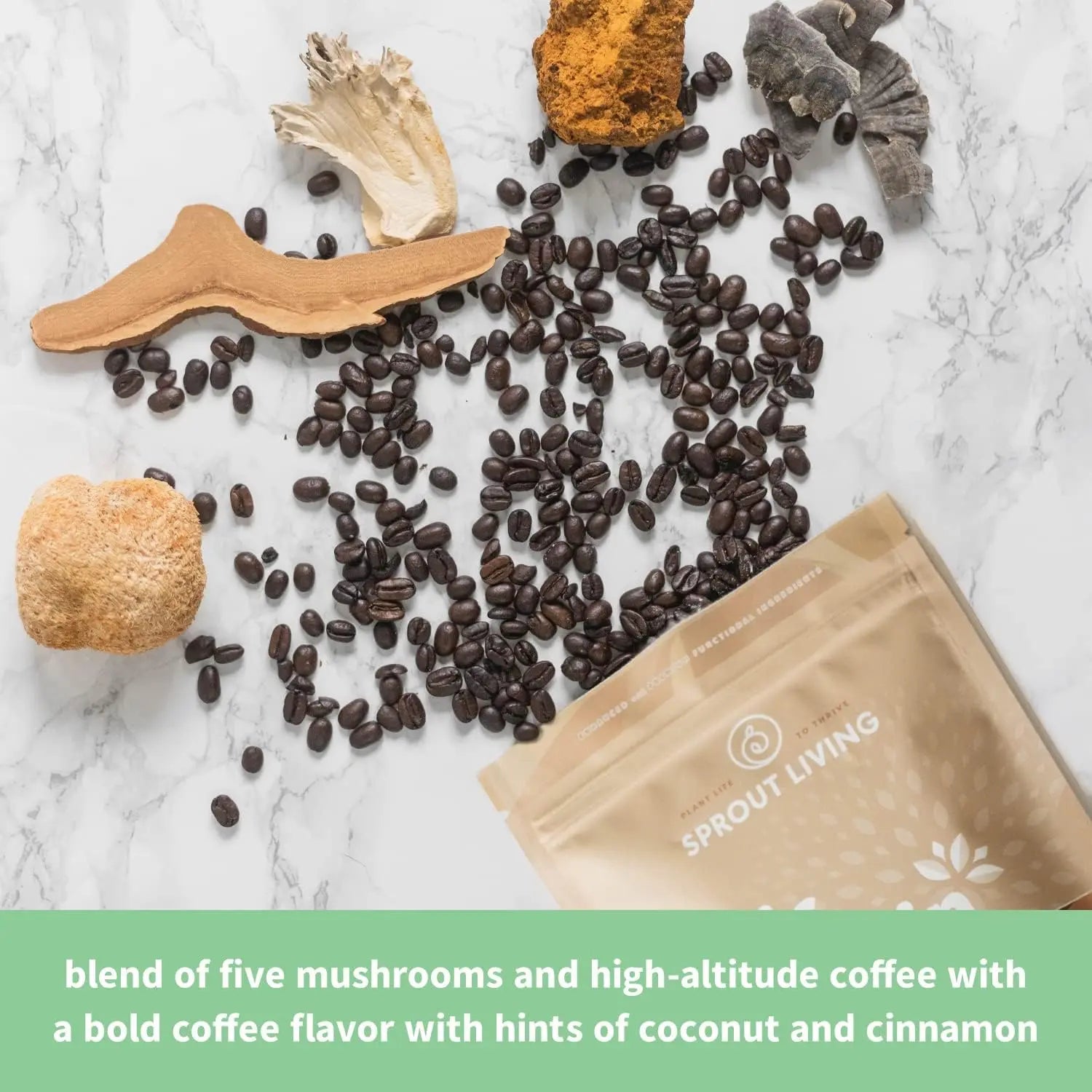 Sprout L Epic Protein Coffee Mushroom, Vegana 494gr Sfn