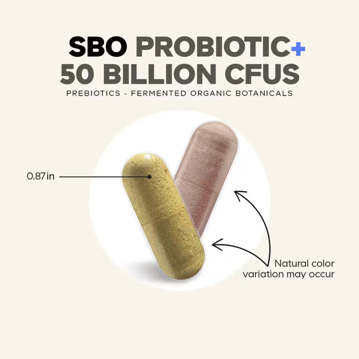 Codeage, Suplemento Probiótico SBO Y Más, 50.000 Millones De UFC, 90 Cápsulas Vegetales