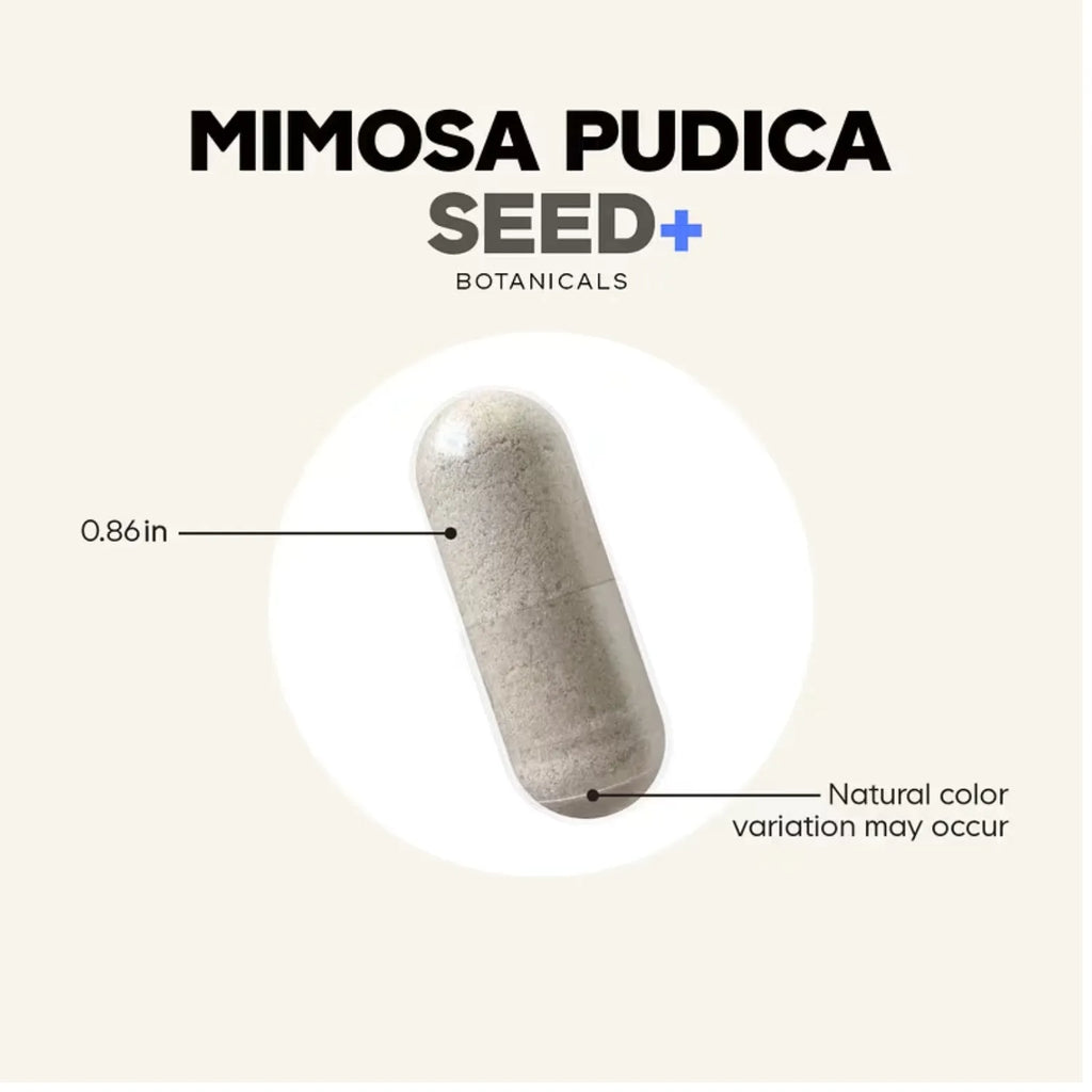 Semilla De Mimosa Pudica + Hierbas Botánicas De Nuez Negra Y Ajenjo, 120 Capsúlas Vegetales