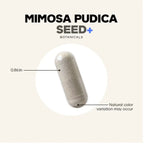 Semilla De Mimosa Pudica + Hierbas Botánicas De Nuez Negra Y Ajenjo, 120 Capsúlas Vegetales
