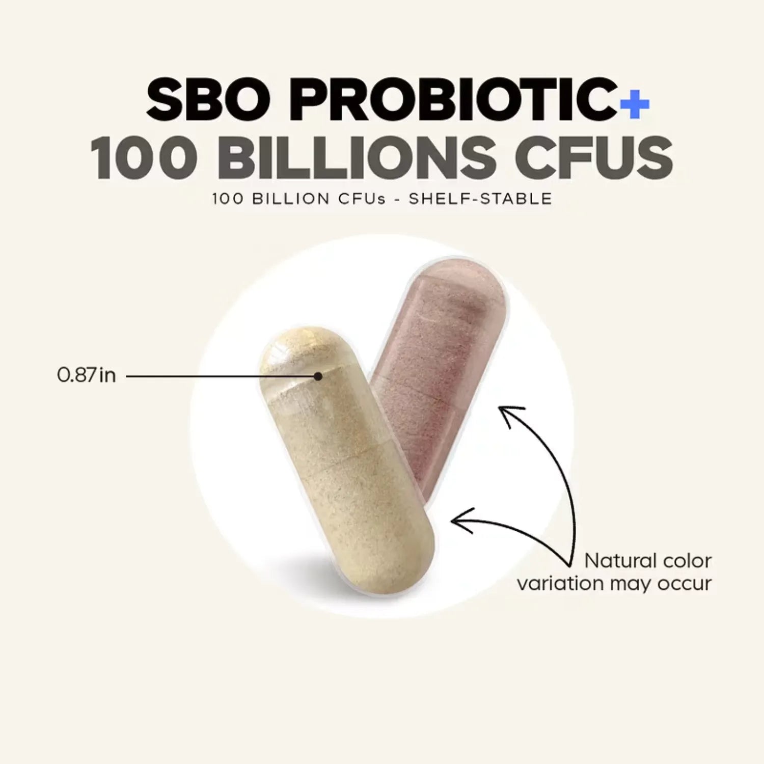 Codeage, SBO Probiótico + 100 Mil Millones De UFC De Larga Vida Útil, Prebióticos Y Probióticos, 90 Cápsulas Vegetales
