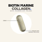 Codeage, Colágeno Marino Con Biotina + Ácido Hialurónico- Multivitamínico, 120 Cápsulas Vegetales