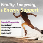 DR'S HOPE | Vitamina B12 con Xilitol 1000 mcg | 90 Tabletas Masticables Sabor Menta | Apoyo al Sistema Nervioso y Energía
