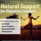 Drs Hope Lactobacillus Acidophilus 1 Billion CFU | 120 Cápsulas Vegetales | Salud Digestiva y Equilibrio Intestinal | Suplemento Alimenticio