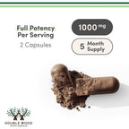 Double Wood Hongo Reishi Extracto 4:1 1000 mg 300 Cápsulas