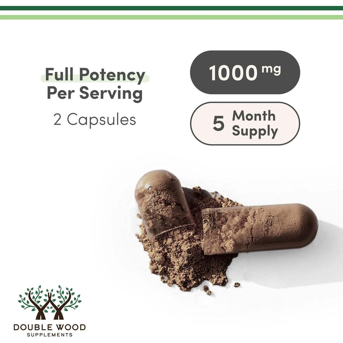 Double Wood Hongo Reishi Extracto 4:1 1000 mg 300 Cápsulas