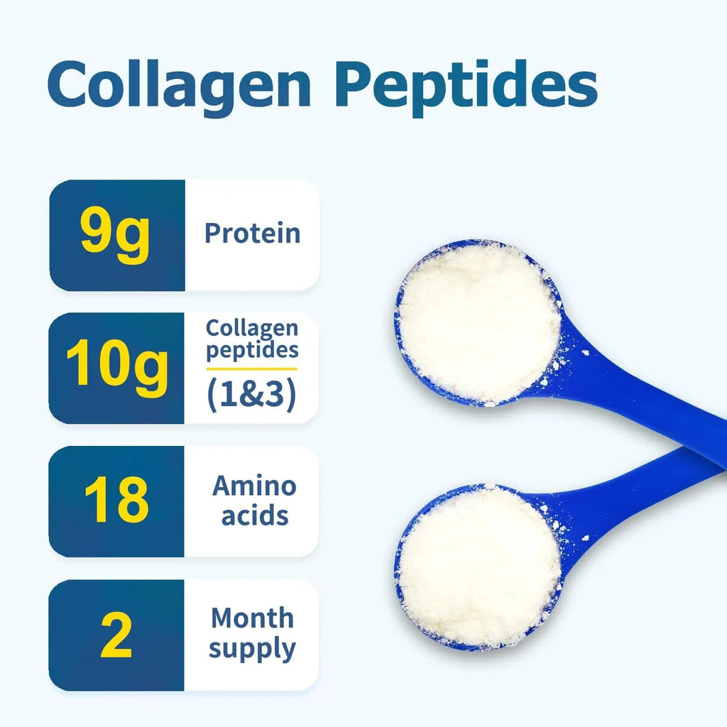 Zammex peptidos de colageno en polvo 600 grs 60 Servs SFN sin sabor