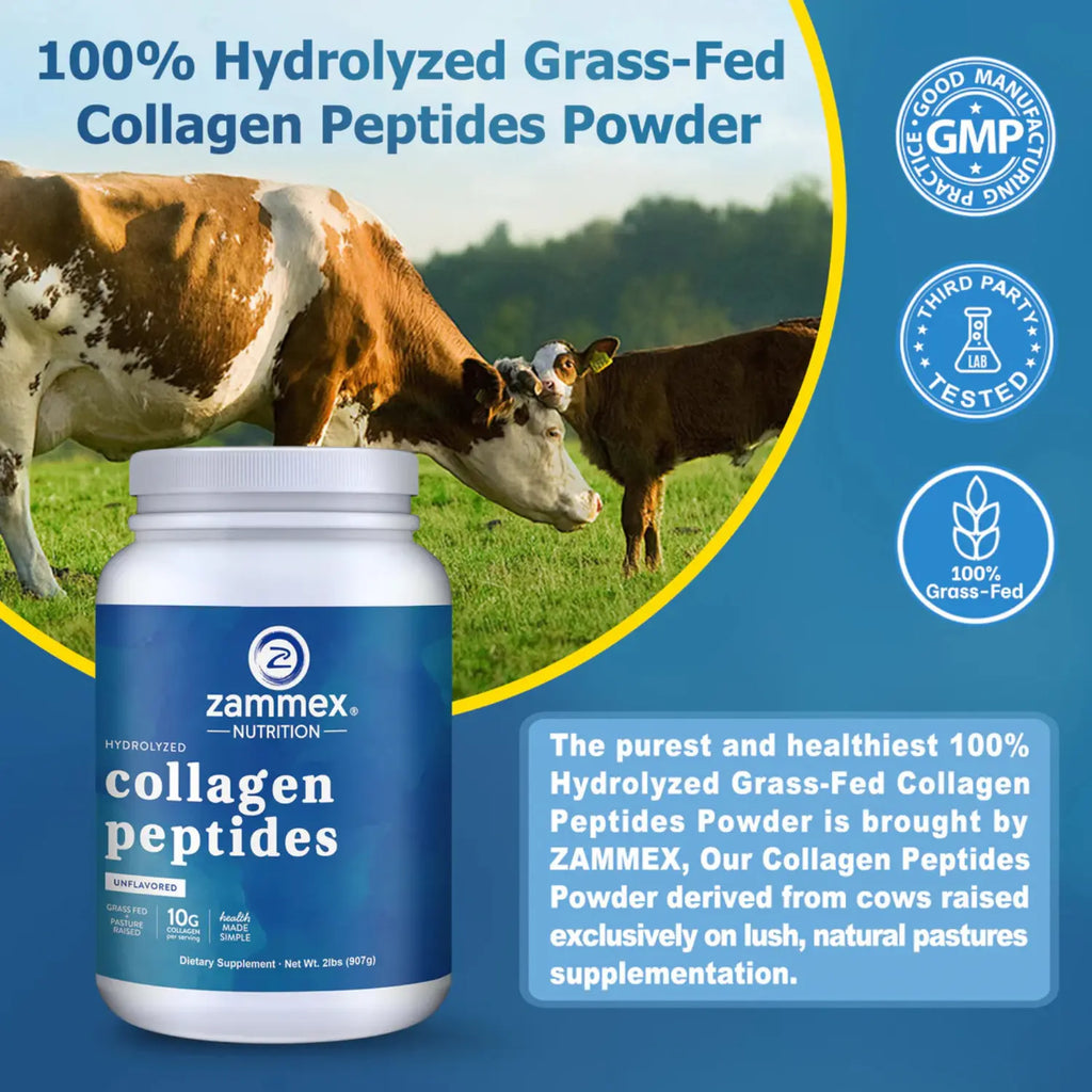 Zammex peptidos de colageno en polvo 900 grs 90 Servs SFN sin sabor