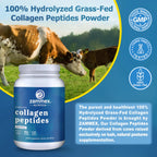 Zammex peptidos de colageno en polvo 900 grs 90 Servs SFN sin sabor