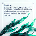 Trace minerals concentrace daily mineral powder 132 grs blue raspberry