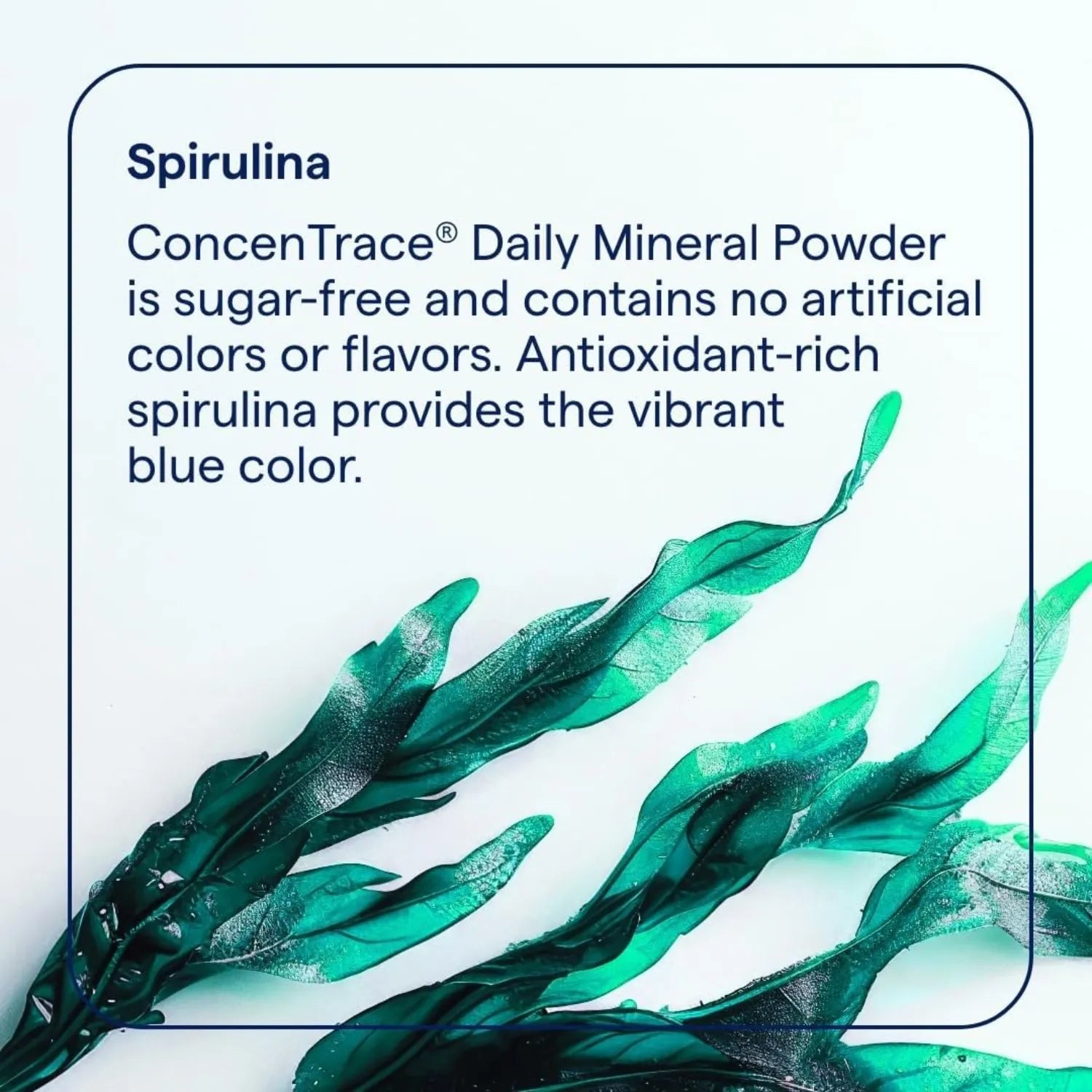Trace minerals concentrace daily mineral powder 132 grs blue raspberry