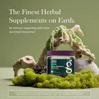 GAIA HERBS | Black Elderberry Extra Strength Saúco Negro Orgánico | 80 Gomitas Veganas | 40 Porciones | Apoyo Inmunológico y Antioxidante
